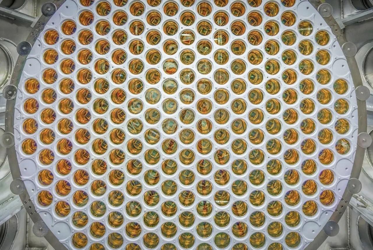 Top-down view of a circular array of hundreds of gold-coloured photomultiplier tubes set in a white frame